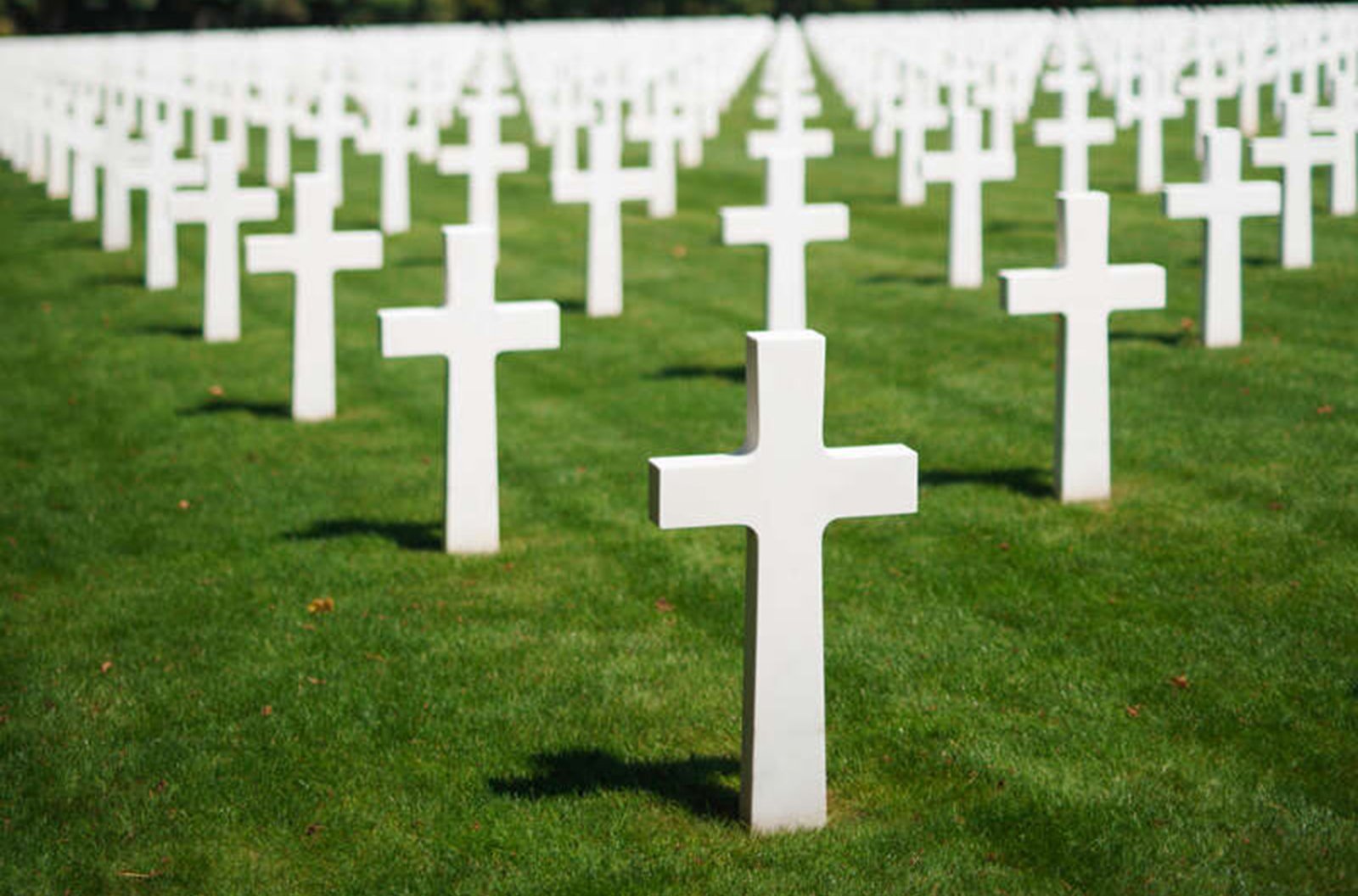 American Cemetery Meuse Argonne1918