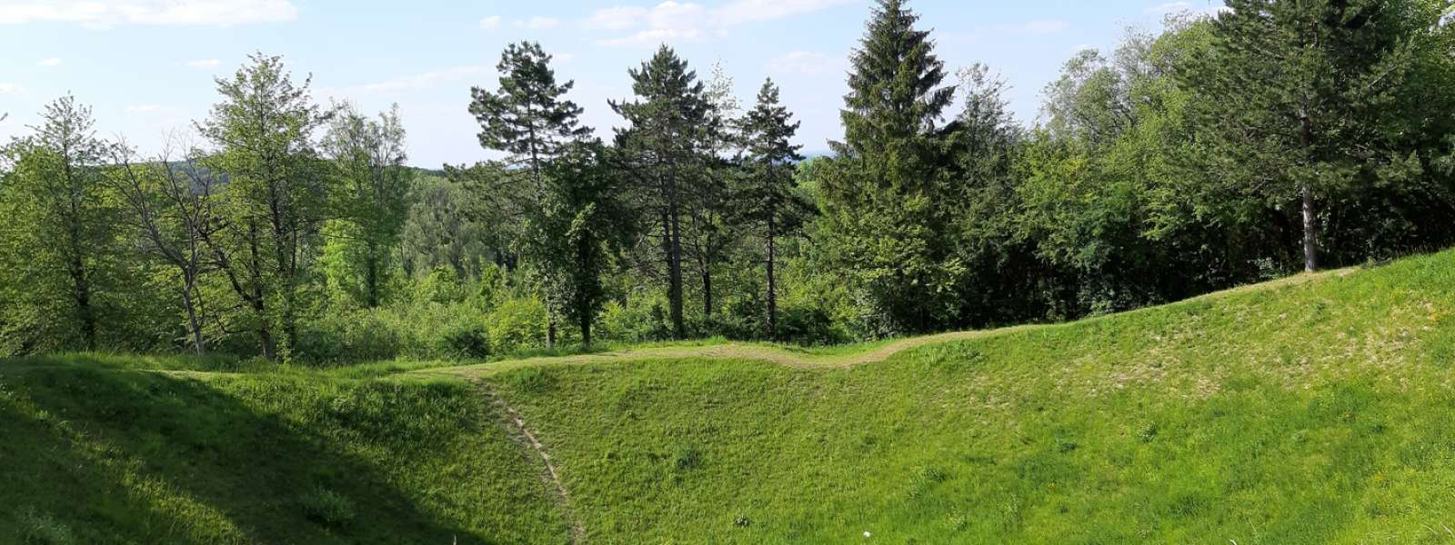 Les Eparges entonnoirs